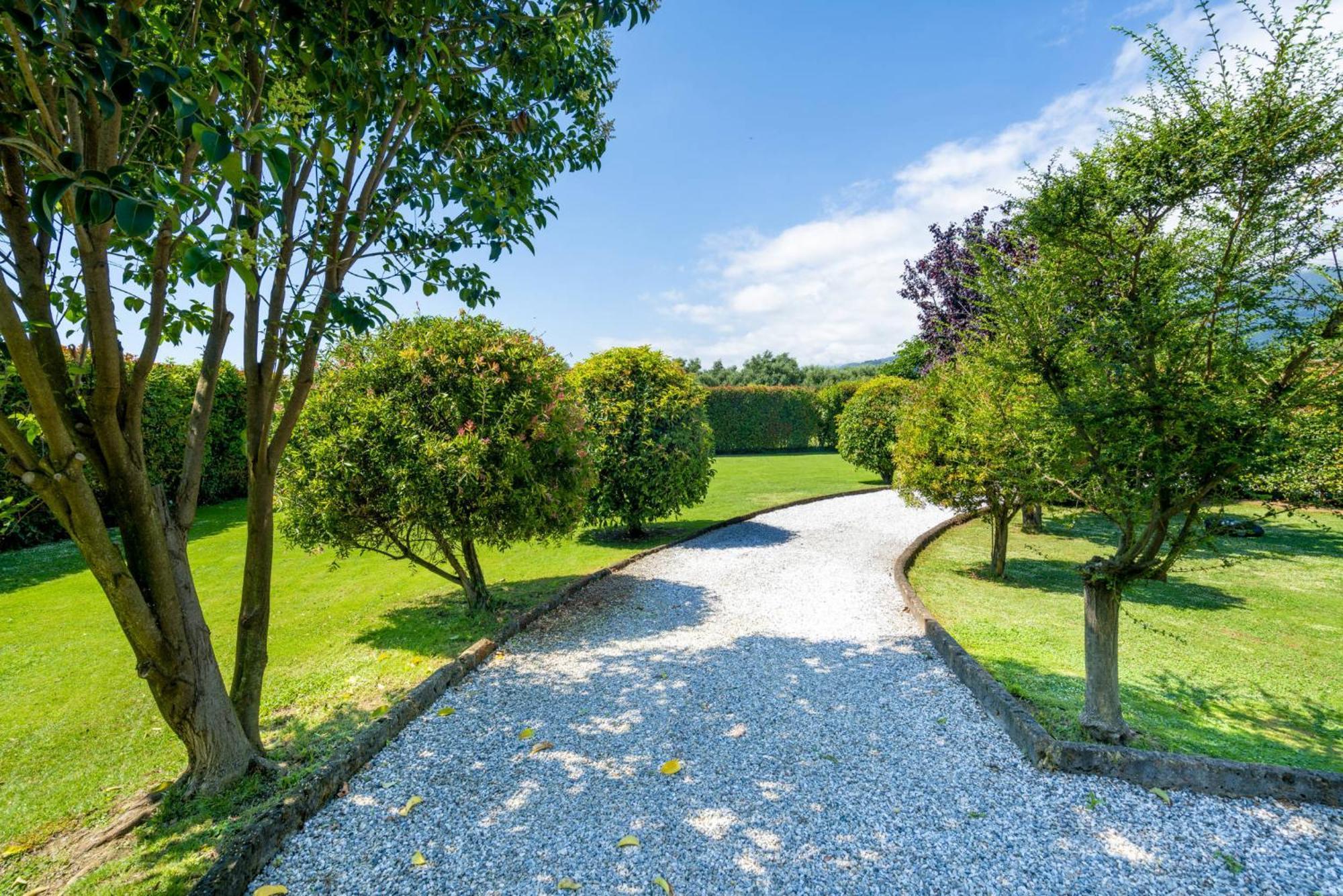 Villa Lorenzo Querceta Εξωτερικό φωτογραφία